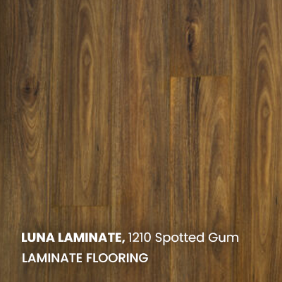 1210 Spotted Gum