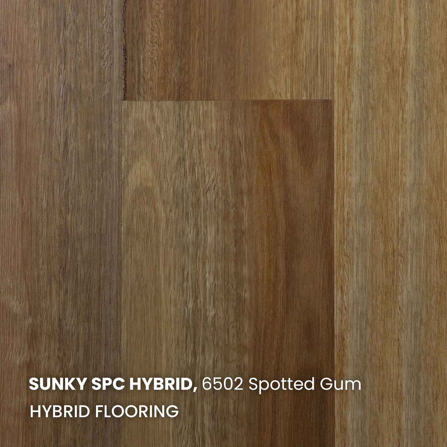 6502 Spotted Gum
